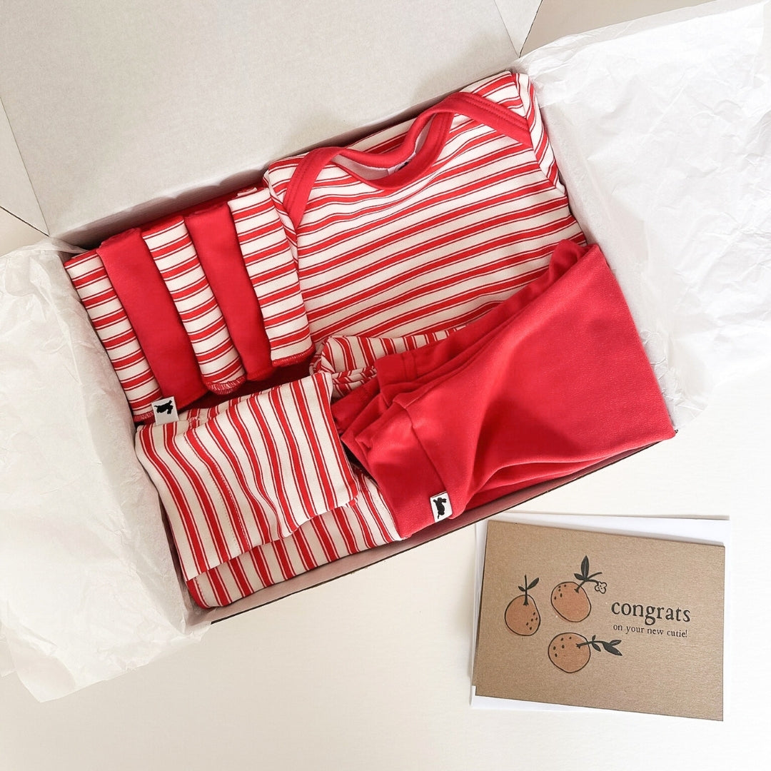 Bamboo Baby Capsule Gift Box - Berry Stripe & Berry