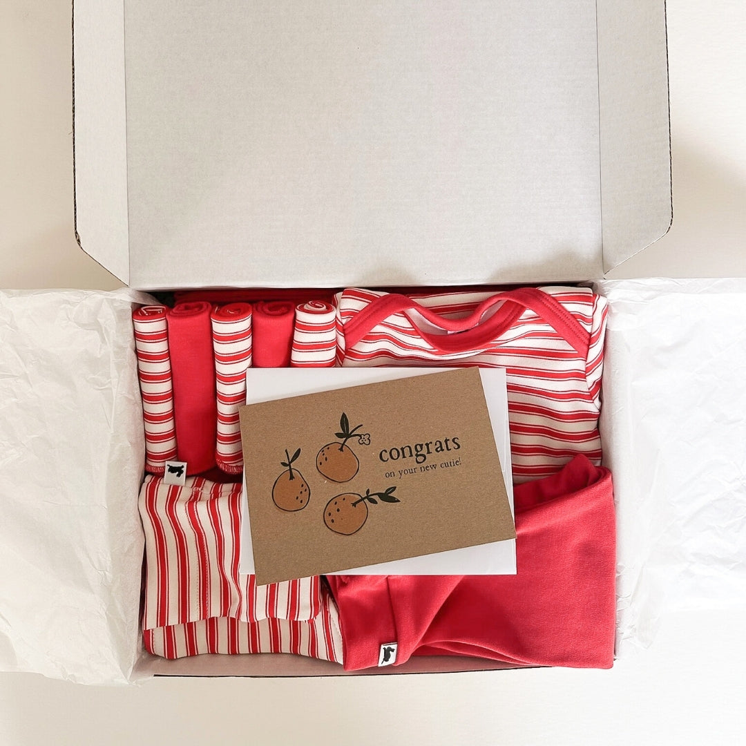 Bamboo Baby Capsule Gift Box - Berry Stripe & Berry
