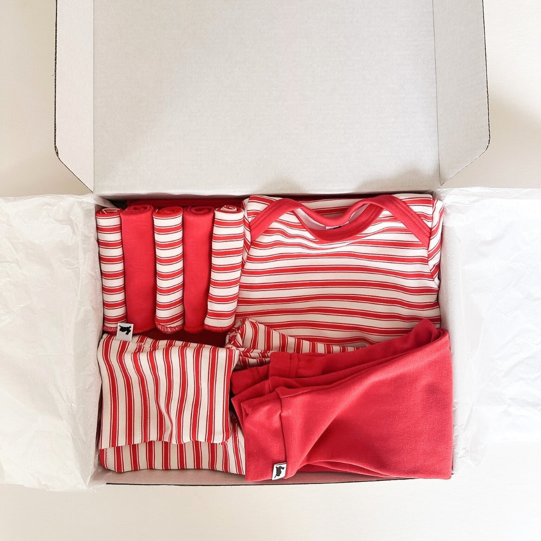 Bamboo Baby Capsule Gift Box - Berry Stripe & Berry